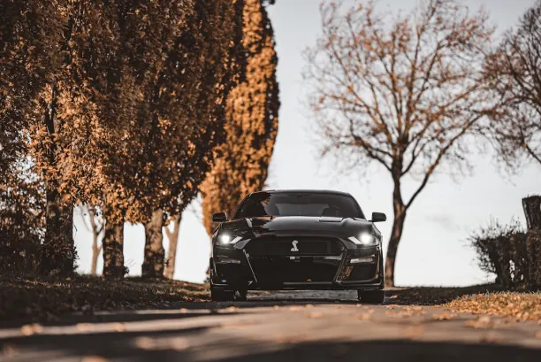 Kasino Lion Wins Apl Android/iOS